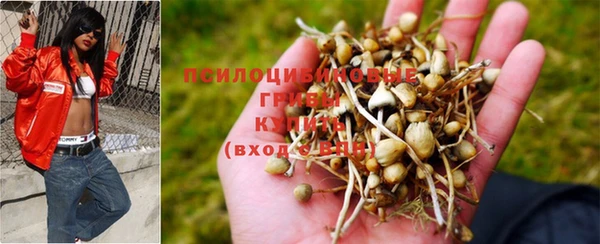 марки nbome Бугульма