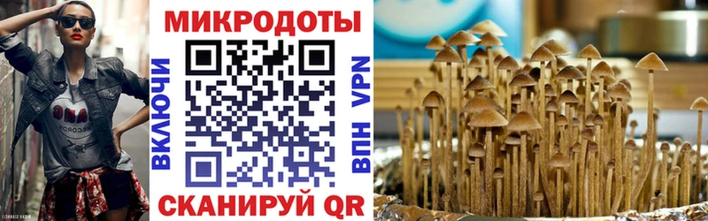 Псилоцибиновые грибы GOLDEN TEACHER  Высоцк 